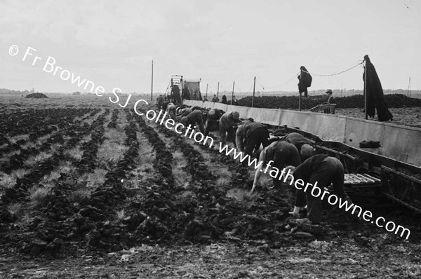 CLONSAST WINNING PEAT (TURF) BY MACHINE